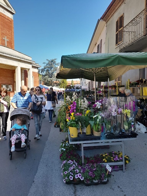 WhatsApp Image at ()