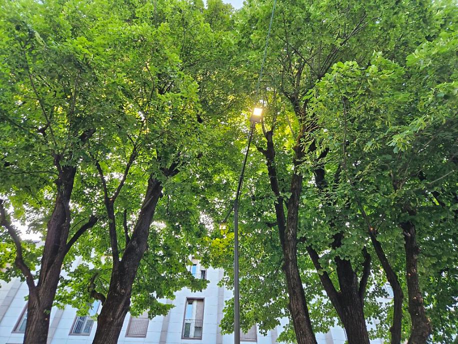 Luci accese venerd&igrave; mattina ore