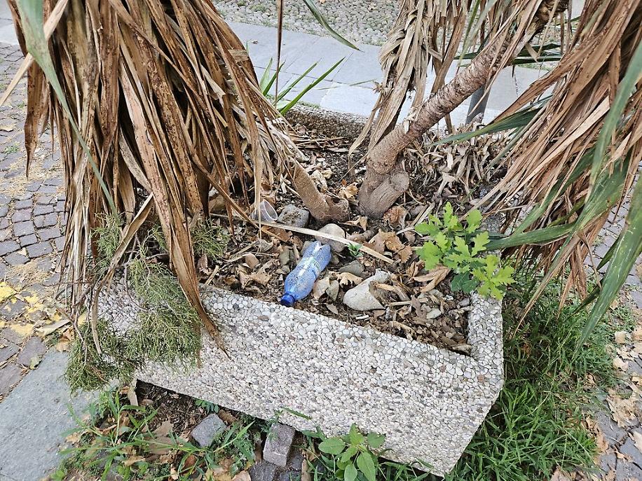 Piazza Castigliano Asti degrado risultato