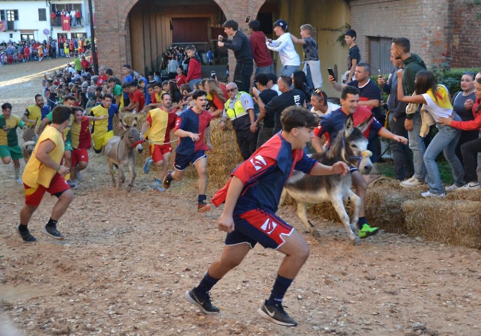 Palio degli Asini di Cocconato
