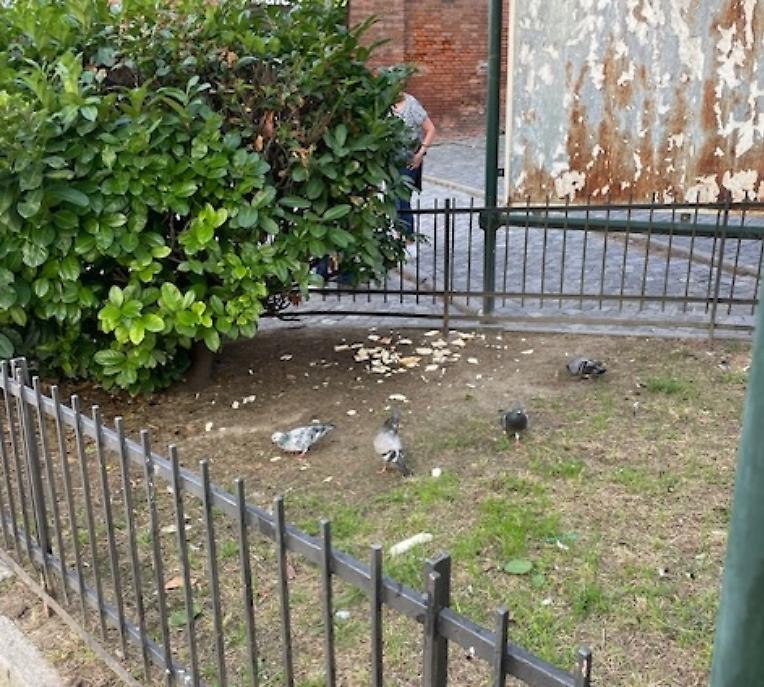 piazzetta San Paolo Asti degrado