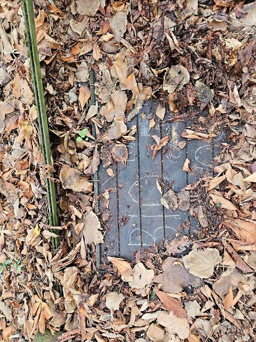 Degrado senza fine da piazza Vittorio Veneto alle Antiche Mura