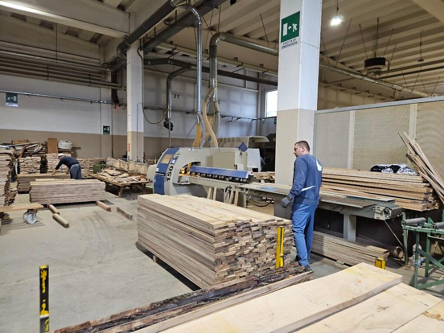 Pianta Srl Montechiaro