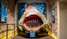 Le giornate delle famiglie al Museo dei Fossili