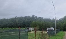 Insediamento rom a Callianetto: "Si sta lavorando ad una soluzione"