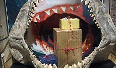 Il nuovo anno con il Museo Paleontologico: gennaio tra fossili, gioco e scoperta