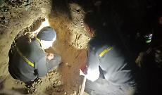 Vigili del Fuoco di Asti salvano cane setter Mila