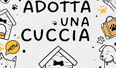 &ldquo;Adotta una cuccia&rdquo;: a Montegrosso un gesto per migliorare la qualit&agrave; di vita dei cani in attesa di una famiglia