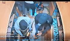 Sventrano la vetrina con le cesoie pneumatiche e svaligiano gioielleria in meno di 4 minuti