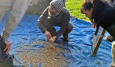 Un sacco di semi al mulino Polleri Balocco: biodiversit&agrave;, scambio e sapori contadini