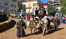 Cocconato inaugura un 2026 ricco di sagre, musica e tradizioni