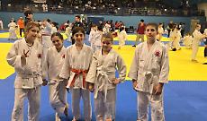 Judo Olimpic