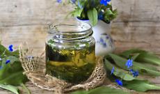 Alla scoperta delle Erbe commestibili