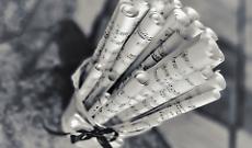 Pomeriggio d'arte alla Torre di Barbaresco con Anna Dari