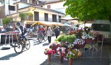 Torna sabato la 23&ordf; fiera di San Marco a Cocconato