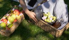 Pic-nic al Casotto di Vinchio