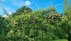 Il Giardino segreto di Arianna