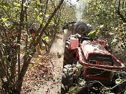 Costigliole d'Asti, anziano di 88 anni muore sbalzato dal motocoltivatore nel noccioleto