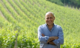 Barbera, vendemmia avara ma +6% di bottiglie