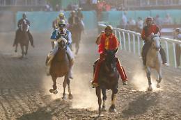 Palii 2018, un fitto calendario