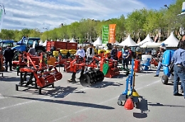 Nizza, &egrave; tempo di Fiera del Santo Cristo