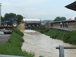 Bomba d'acqua su Montiglio: allagato un allevamento di maiali