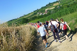 Domenica a Costigliole la Passeggiata delle rose