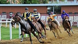 Corse allo stadio di sabato sera: l'elenco dei partenti
