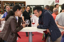 Douja d'Or 2018: partir&agrave; da piazza San Secondo e finir&agrave; in piazza Cattedrale