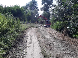 Avviata la ripulitura del Tanaro da alberi e arbusti