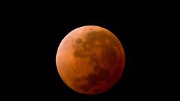 Insieme agli astrofili si osserva l&rsquo;eclissi lunare