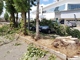 Nubifragio: il sindaco di Asti ringrazia chi ha fronteggiato l'emergenza