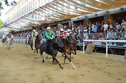 Palio, cavalli: le scelte dei 21 Comitati per la corsa di domenica