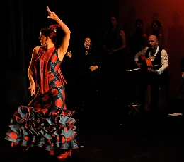 Questa sera "Aires De Triana" a Mombaruzzo: &egrave; di scena il flamenco