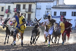 Borgo Torre vince il Palio degli Asini di Cocconato