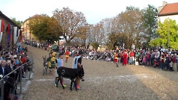 Cocconato: domenica sette borghi al Palio degli Asini