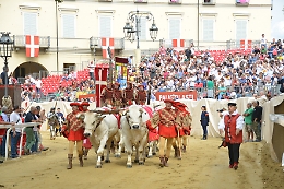 L'emozione della pista e i momenti salienti del Palio visti dai nostri fotografi