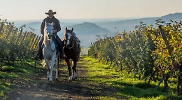 Le colline del Monferrato un vero ufficio a cielo aperto