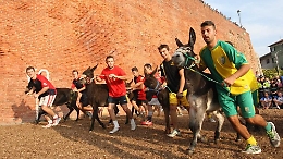 Domenica a Calliano si corre il "Paglio Ragliante"