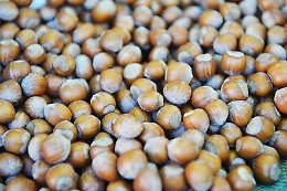 L'Astigiano escluso dalla denominazione "Nocciola di Langa": e i sindaci non ci stanno