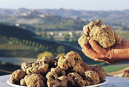 Asti elogia il suo tartufo nella nuova fiera regionale