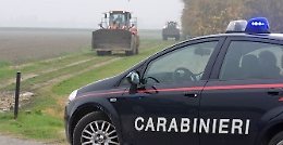 Canelli: sette arresti per furti di ruspe ed escavatori