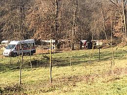 Niente autopsia per l'uomo ucciso da un ramo pericolante