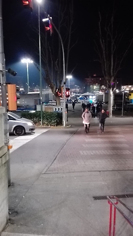 &laquo;Quel semaforo pedonale viene spento troppo presto, alla sera&raquo;