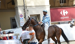 Alessio Migheli: "Molto soddisfatto della 'chance' che Viatosto mi rioffre"