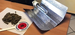 Minaccia l'ex fidanzata, lei lo denuncia e i carabinieri gli trovano in casa una piantagione di marijuana