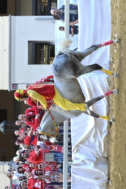 Fantini: conferme a Nizza e a Baldichieri, a Castell'Alfero torna Fais