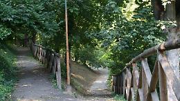 Asti, sparatoria al Bosco dei Partigiani: ferito lievemente un ragazzino