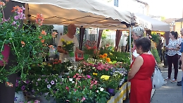 Alla Villa e al Piano di Isola il weekend di festa con "Fiori in fiera"