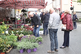 Tanti visitatori alla giornata di fiera di "Ortogiardinovino &amp; Dispensa" a Motta di Costigliole